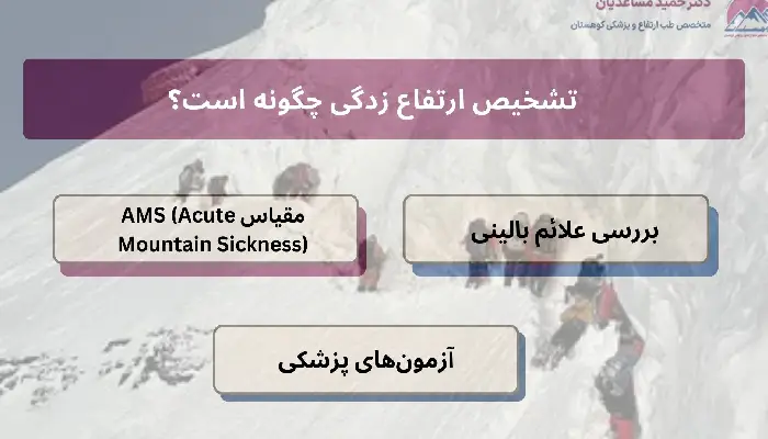 ارتفاع زدگی